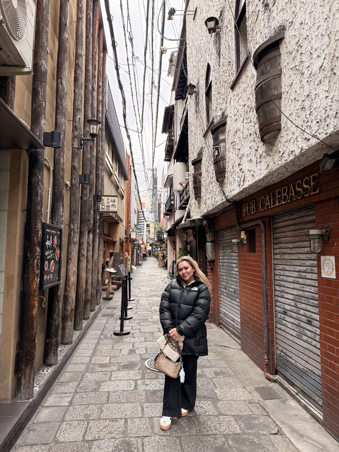 Two weeks around Osaka and Tokyo