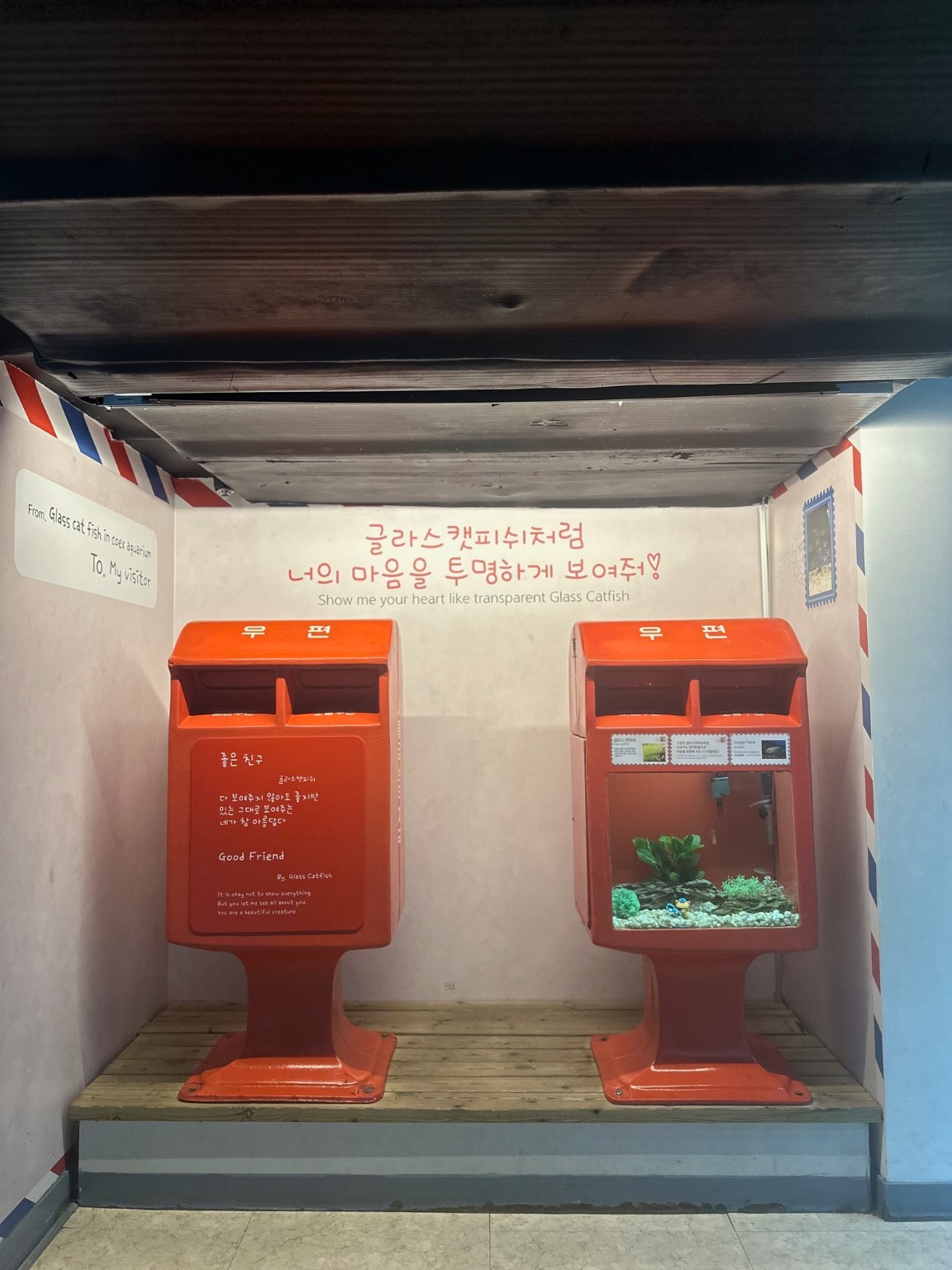 Red postbox-shaped aquarium displays, including a small planted fish tank