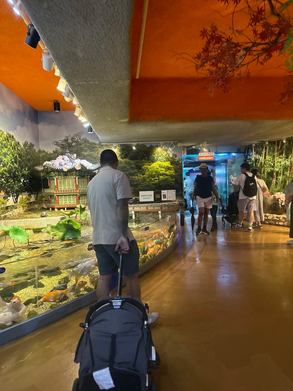 An indoor aquarium stop in our South Korea photographs