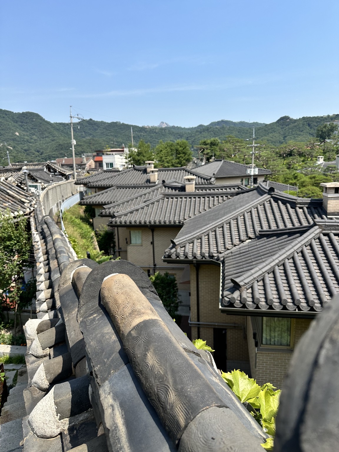 Traditional tiled rooftops with wooded hills behind them in Seoul