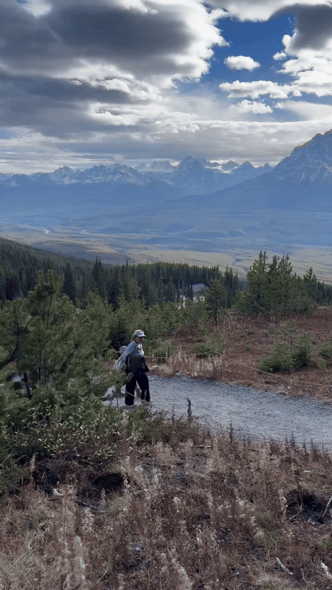A walker on a gravel path above the forest, with mountain views across the Lake Louise valley