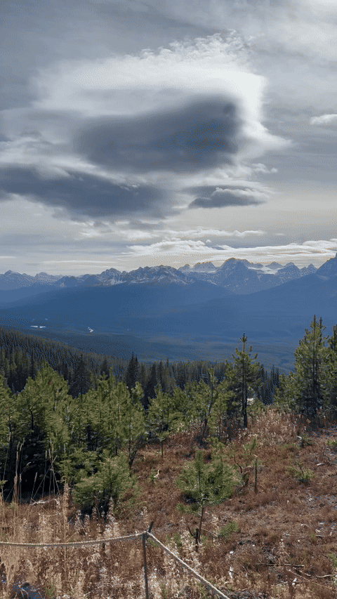 An autumn panorama of forest and layered Rocky Mountain peaks beneath moving clouds